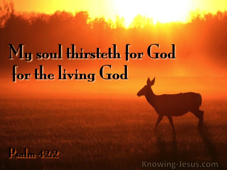 Psalm 42:2 My Soul Is Thirsty For God (brown)